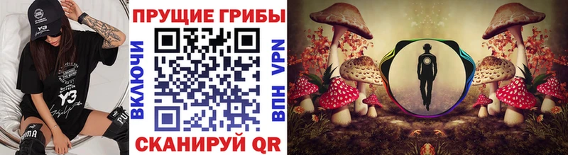 Псилоцибиновые грибы Psilocybine cubensis  закладки  Тутаев 